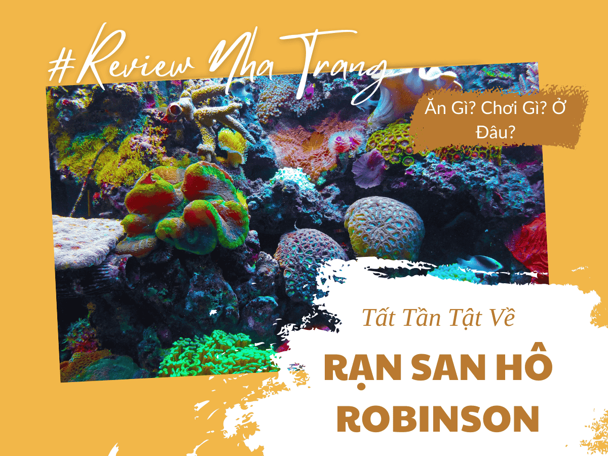 Khám Phá Rạn San Hô Quanh Đảo Robinson Nha Trang – Thiên Đường Dưới Lòng Biển