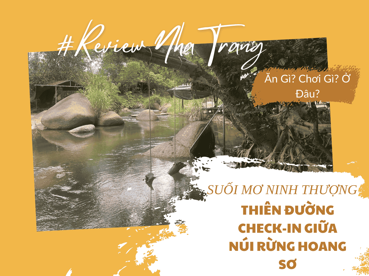 Suối Mơ Ninh Thượng – Thiên Đường Check-in Giữa Núi Rừng Hoang Sơ
