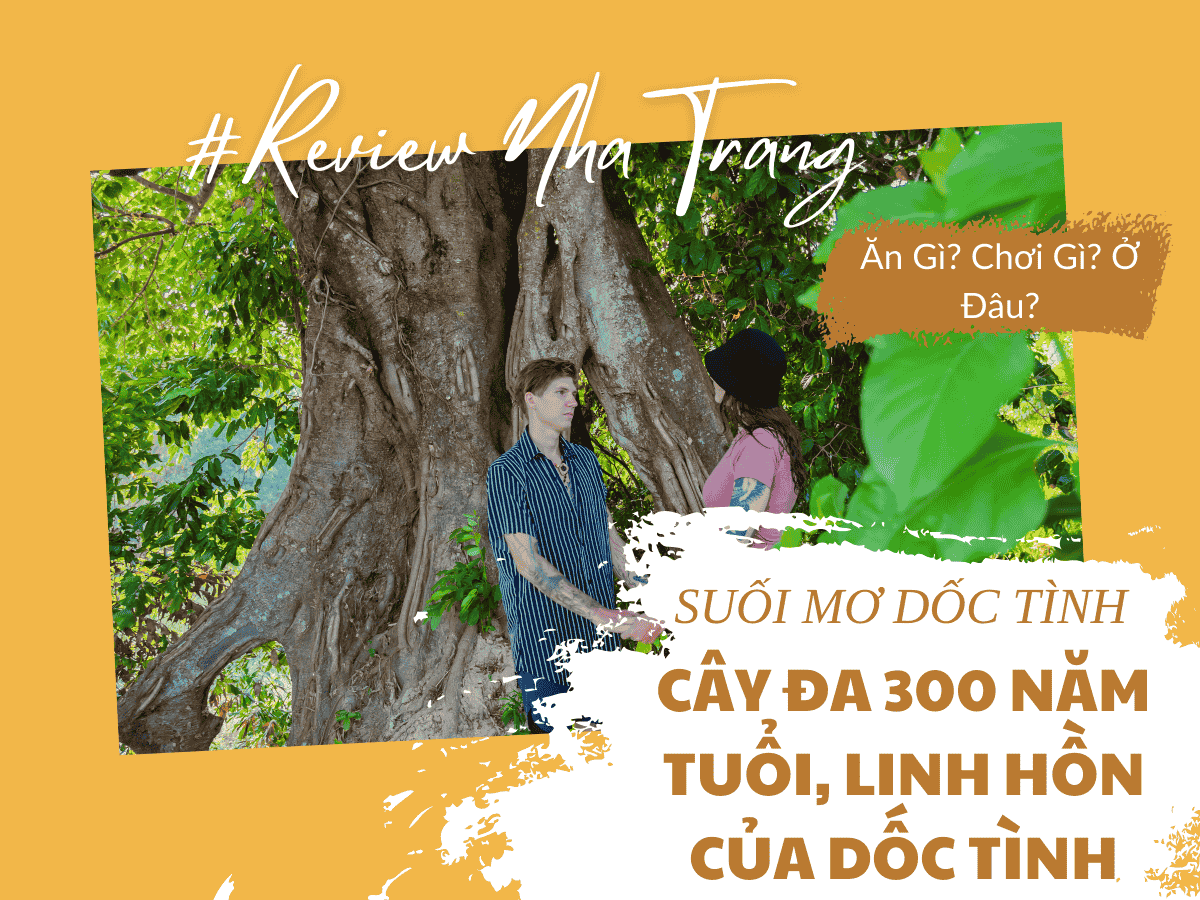 Cây đa 300 năm tuổi - Linh hồn của Suối Mơ Dốc Tình