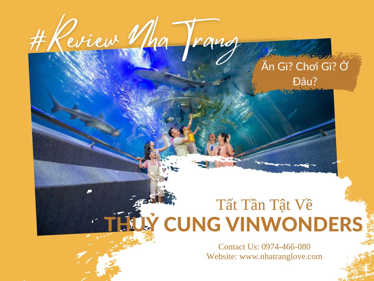 Thủy Cung Vinpearl Nha Trang – Hành Trình Khám Phá Đại Dương