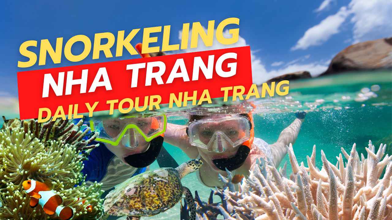 Tour Hòn Tằm Hòn Mun – Trọn Vẹn Vịnh Nha Trang Chỉ Trong 1 Ngày