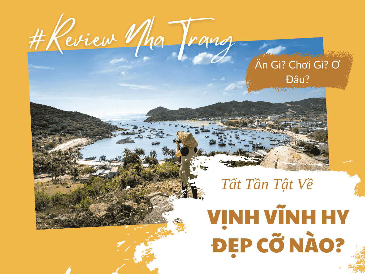 Đồng Cừu Vĩnh Hy – Trải Nghiệm Thiên Nhiên Gần Gũi Tại Vĩnh Hy
