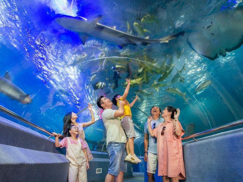 vinwonder-nha-trang