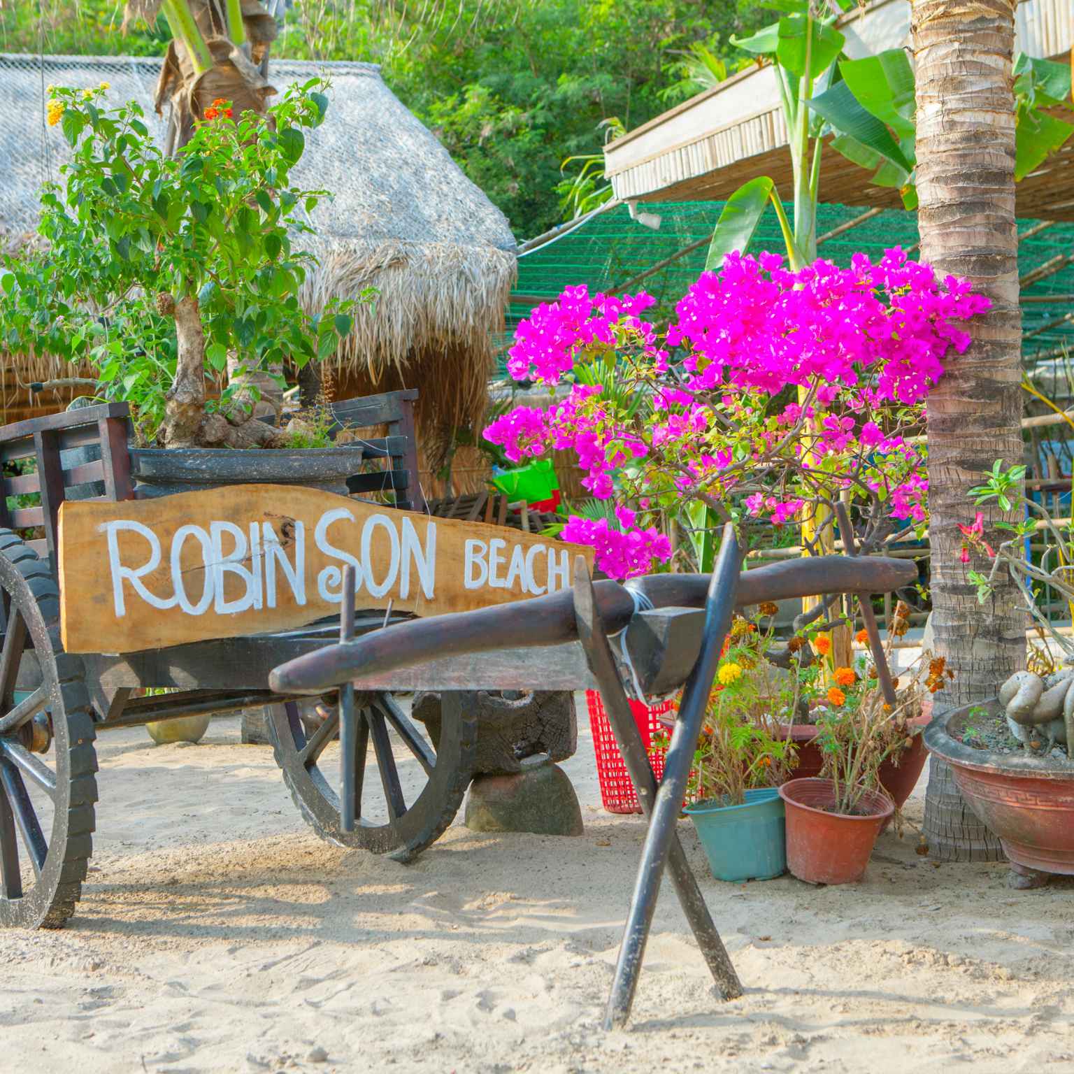 Khám phá Vịnh Nha Trang - Đoàn Chị Diễm