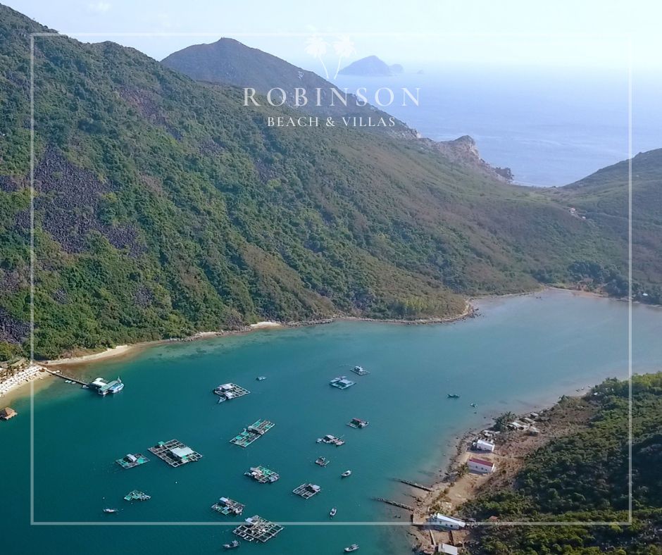 Combo 3N2Đ (Robinson + Tắm Bùn + City Tour)