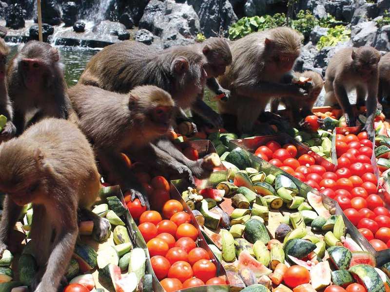 Tour Tham Quan Vịnh Nha Phu Nha Trang