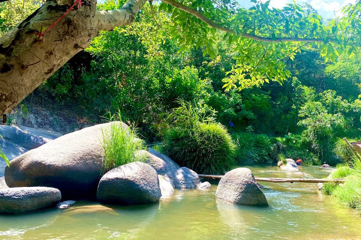 Suối Mơ Dốc Tình Glamping & Retreat