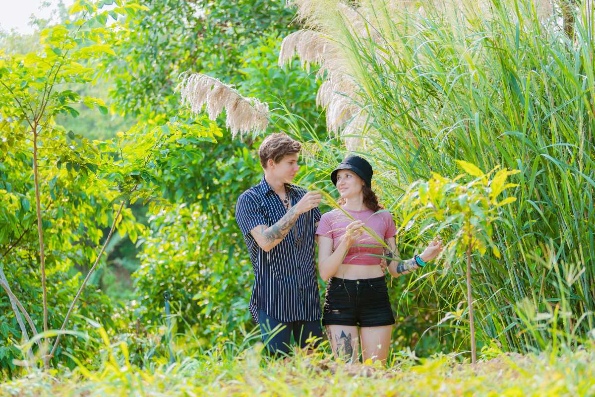 Suối Mơ Dốc Tình Glamping & Retreat