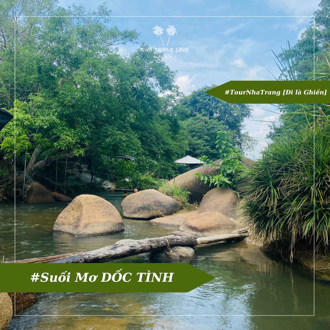 Suối Mơ Dốc Tình Glamping & Retreat