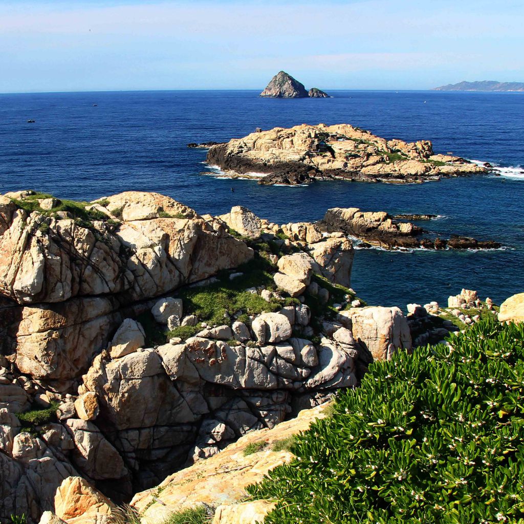 Tour Đảo Yến Hòn Nội Trong Ngày