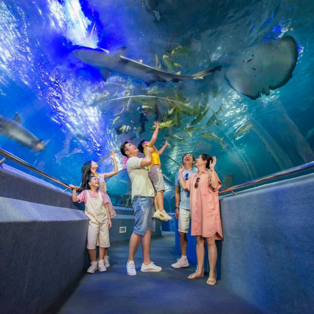 Phòng Vinpearl Nha Trang