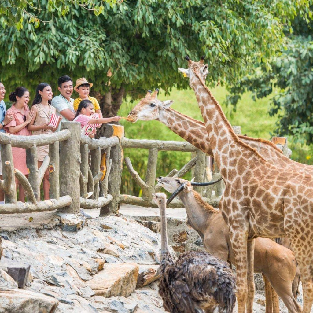 Phòng Vinpearl Nha Trang