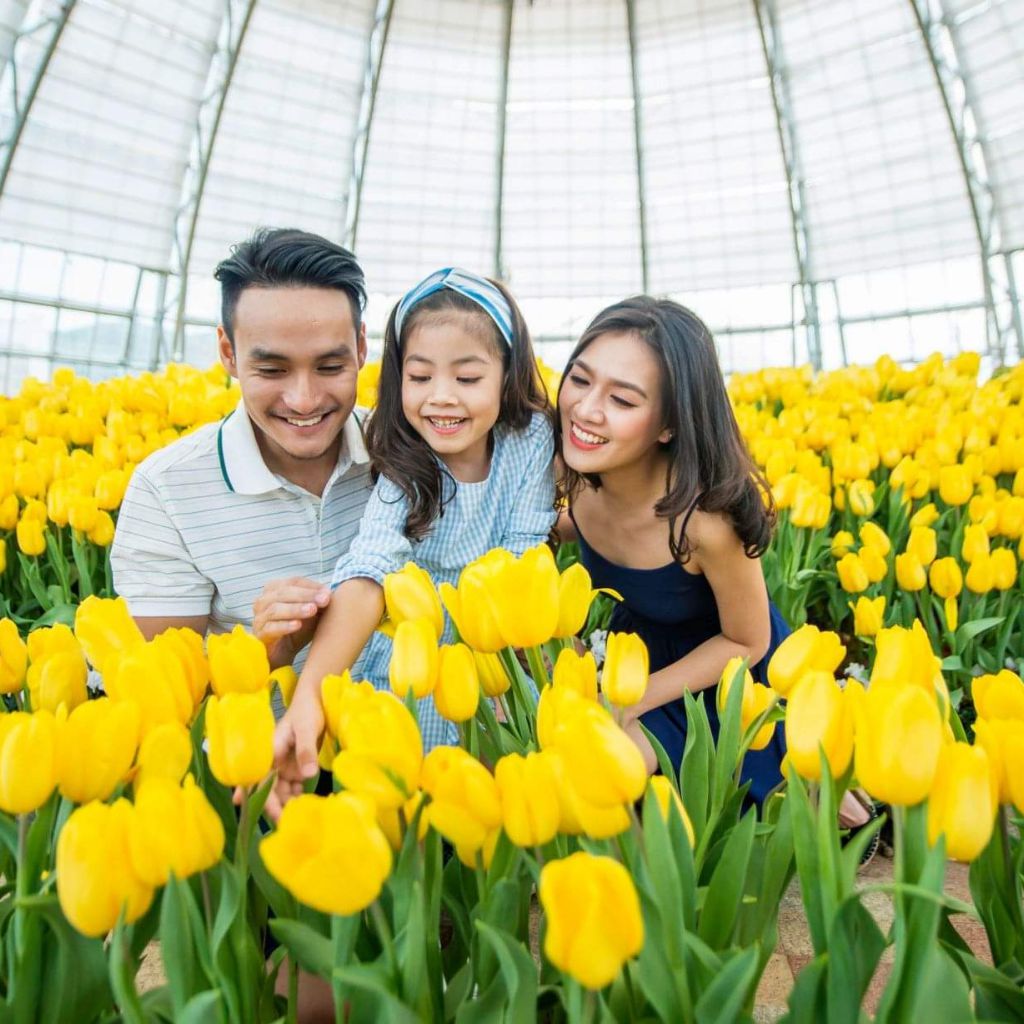 Phòng Vinpearl Nha Trang