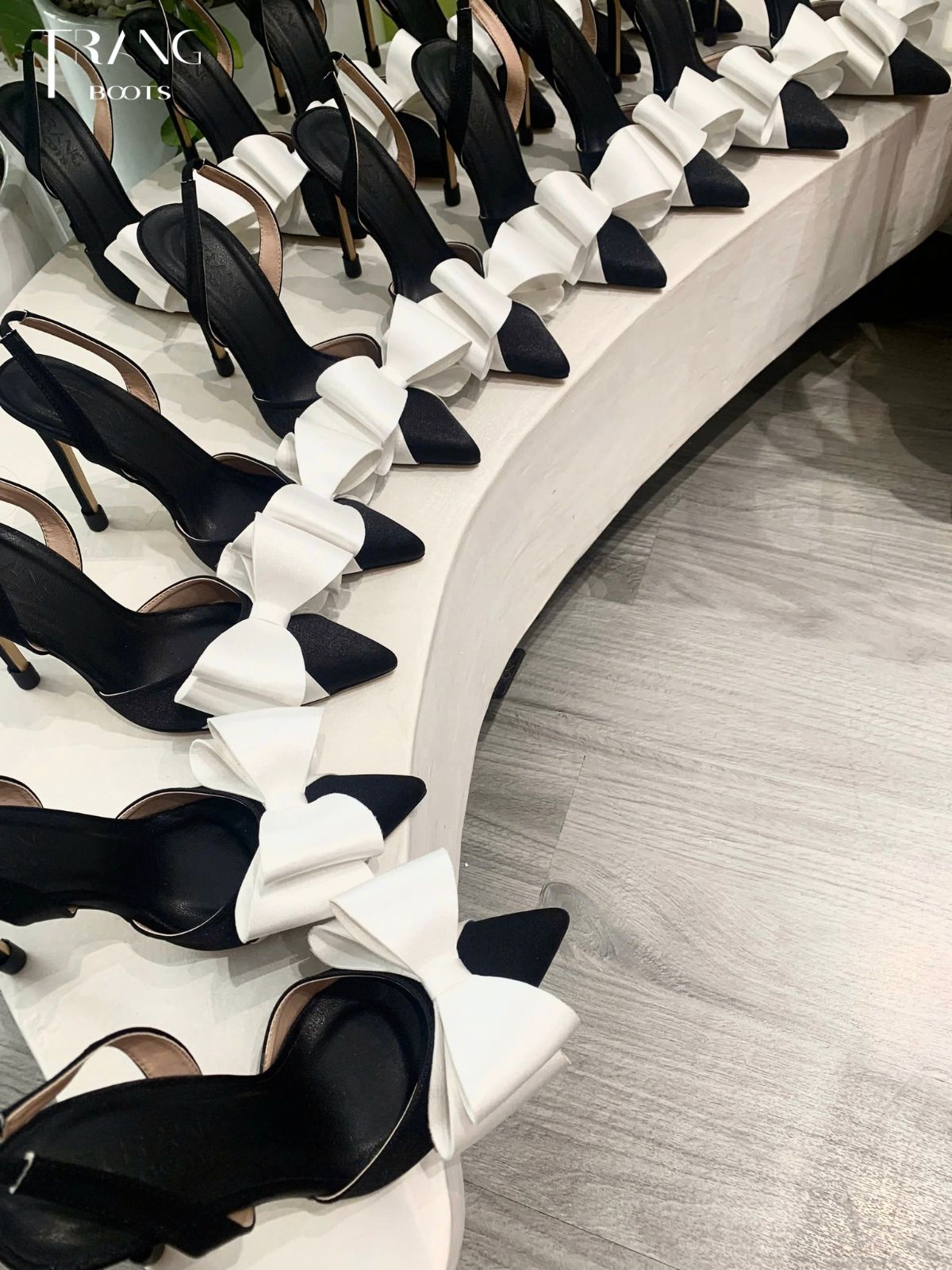 GIÀY CAO GÓT MŨI NHỌN PHỐI NƠ TRẮNG SANG TRỌNG GÓT 10CM LISA PHIÊN BẢN 3.0