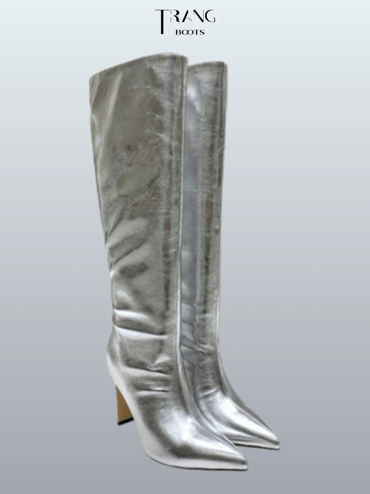 KNEE BOOTS METALLIC MŨI NHỌN