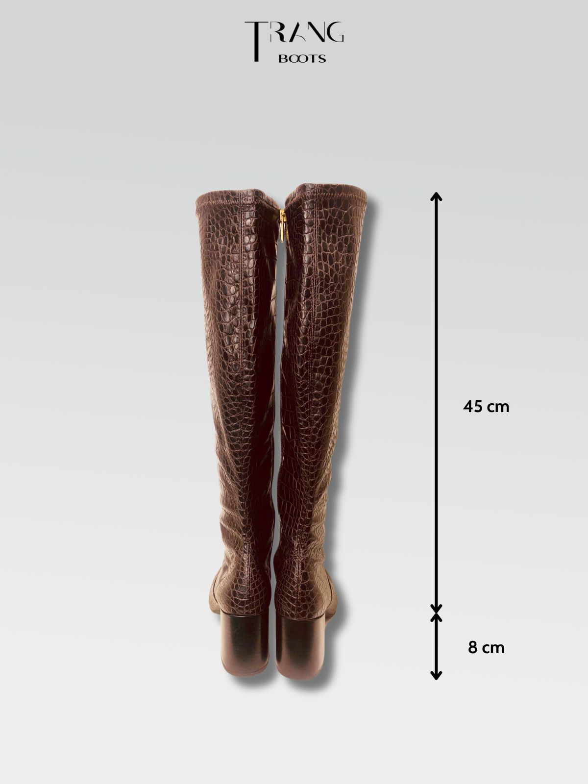 KNEE BOOTS FRANCO SARTO DA RẮN GÓT TRỤ MÀU NÂU