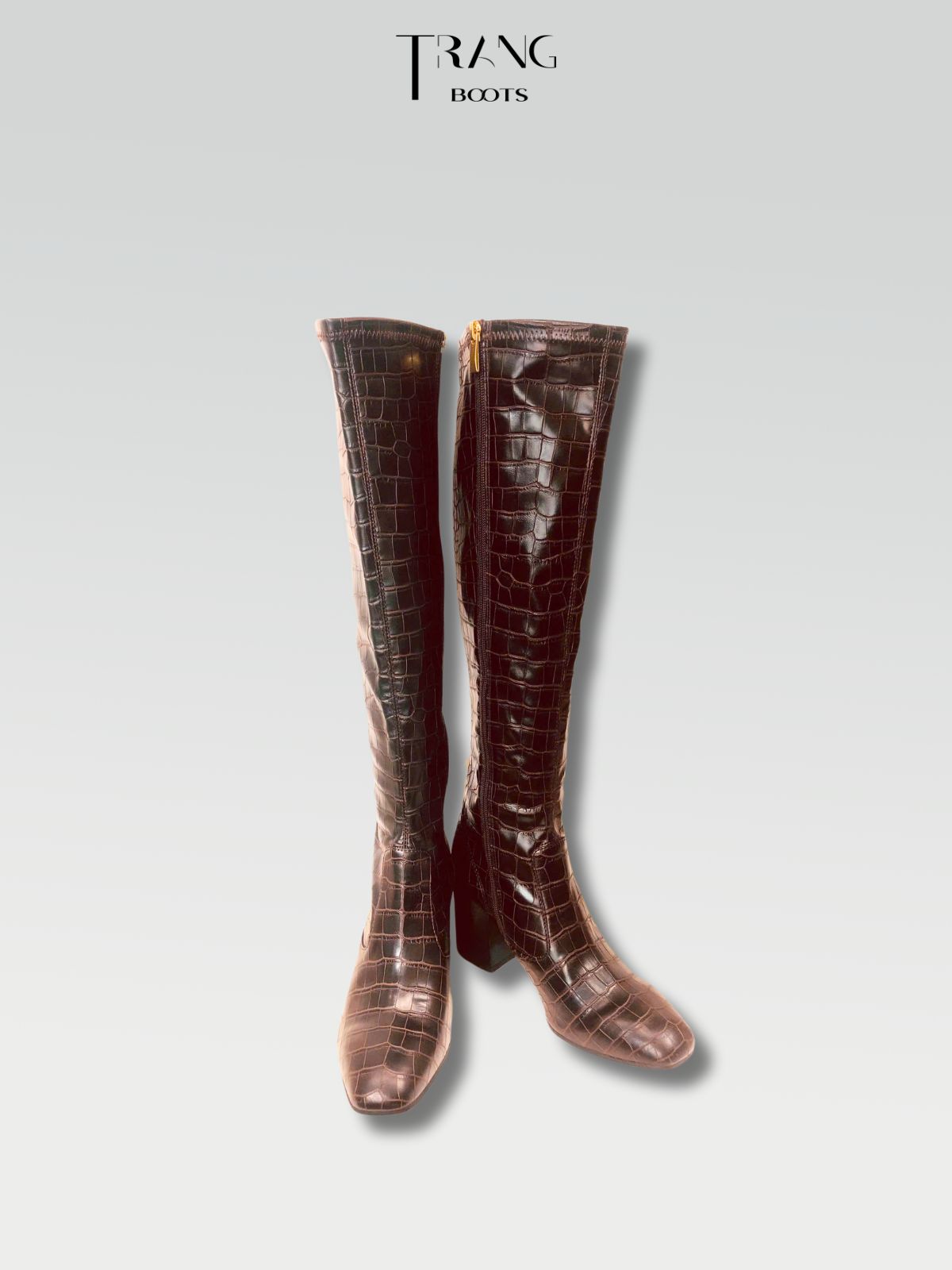 KNEE BOOTS FRANCO SARTO DA RẮN GÓT TRỤ MÀU NÂU