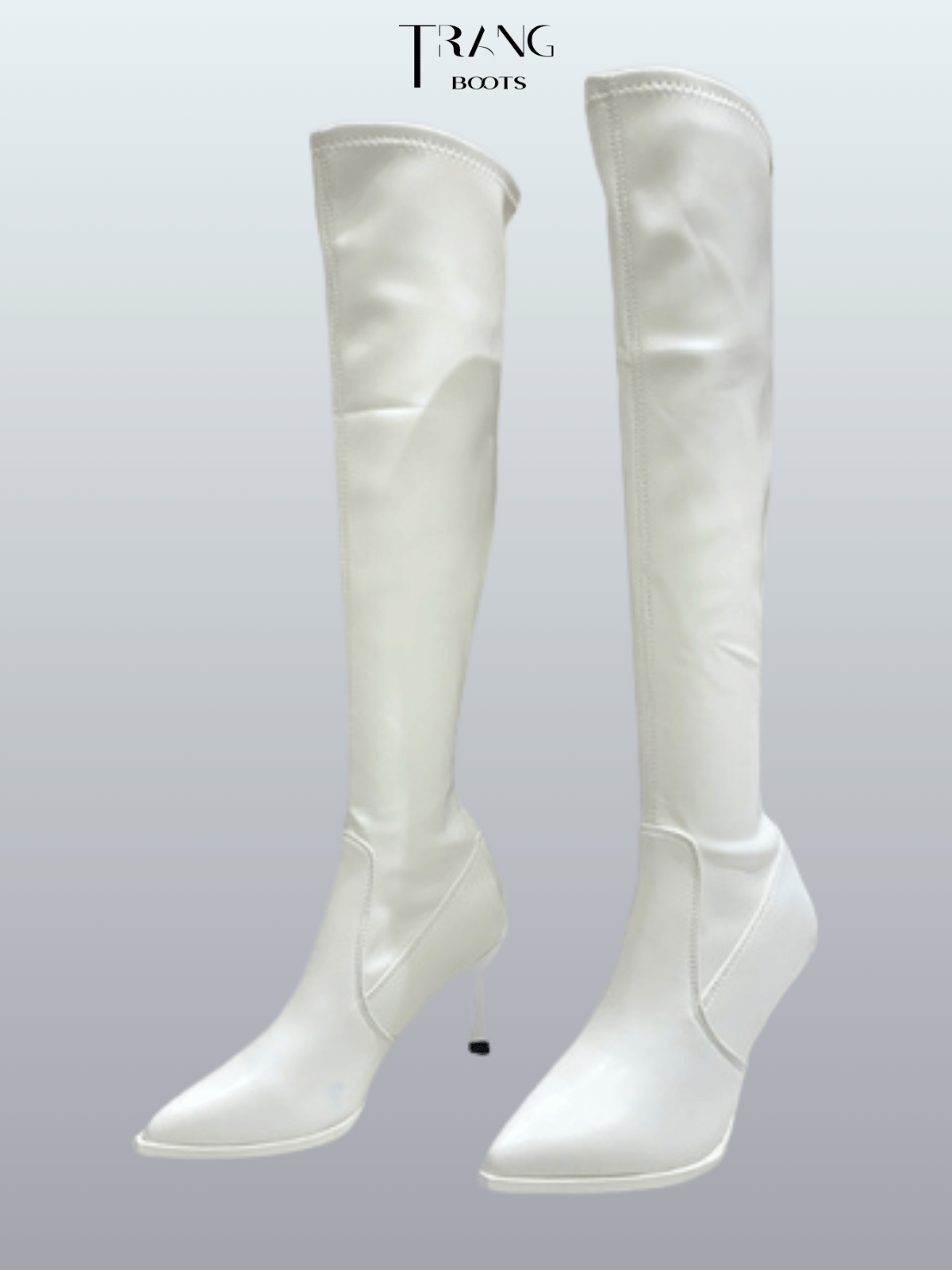 OVER KNEE BOOTS DA MỜ MŨI NHỌN KHÓA SAU