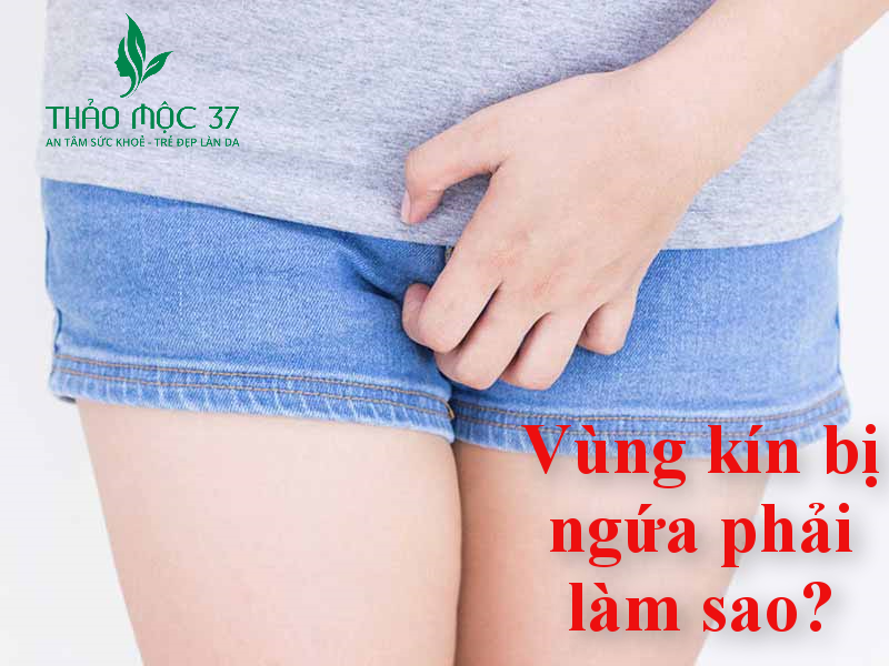 NGỨA VÙNG KÍN : NGUYÊN NHÂN VÀ CÁCH PHÒNG NGỪA