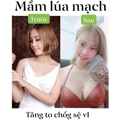 Kẹo Mầm Lúa Mạch Gold - Thảo Mộc 37 Chính Hãng