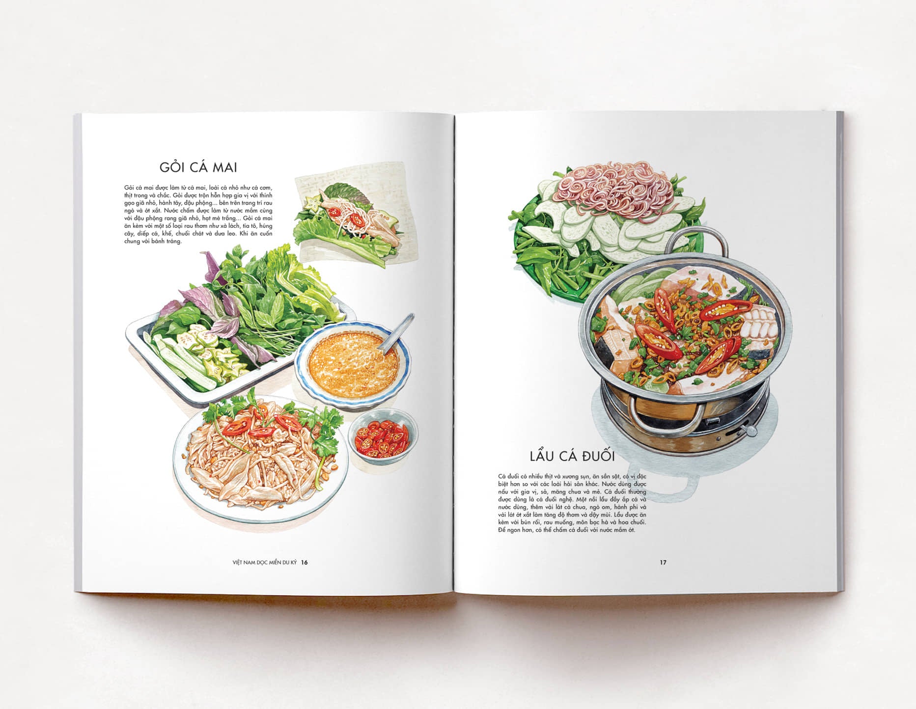 Sách "Việt Nam dọc miền du ký"