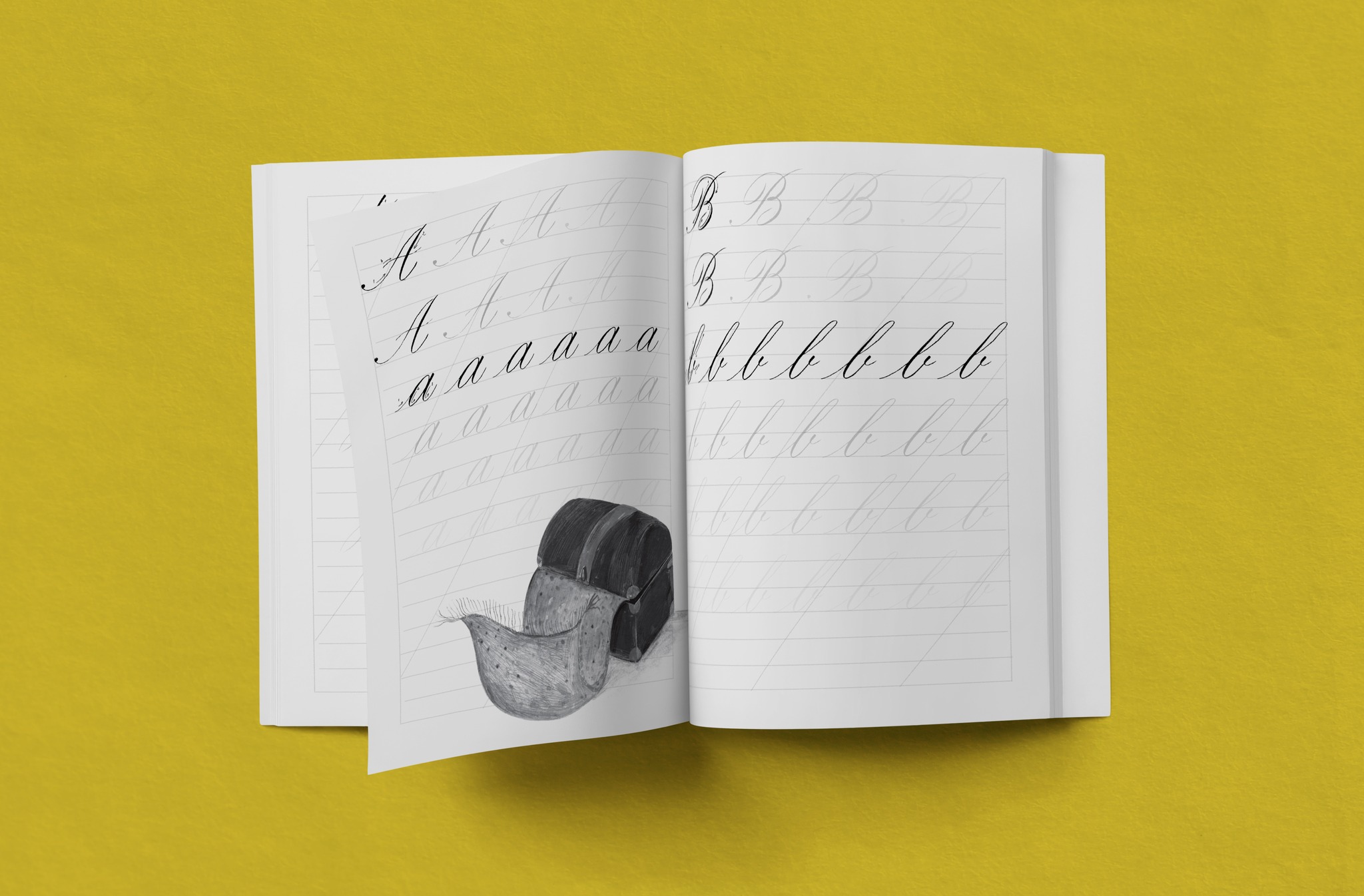 Design Notebook Calography Sổ