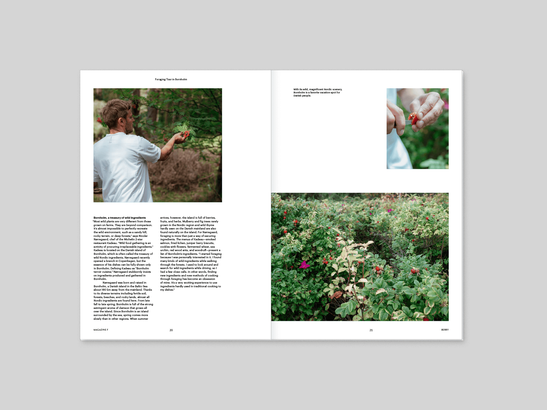 Tạp Chí F ISSUE NO.10 "BERRY"