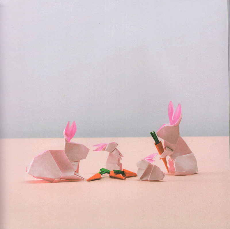Sách "Origami Động Vật Trên Cạn"