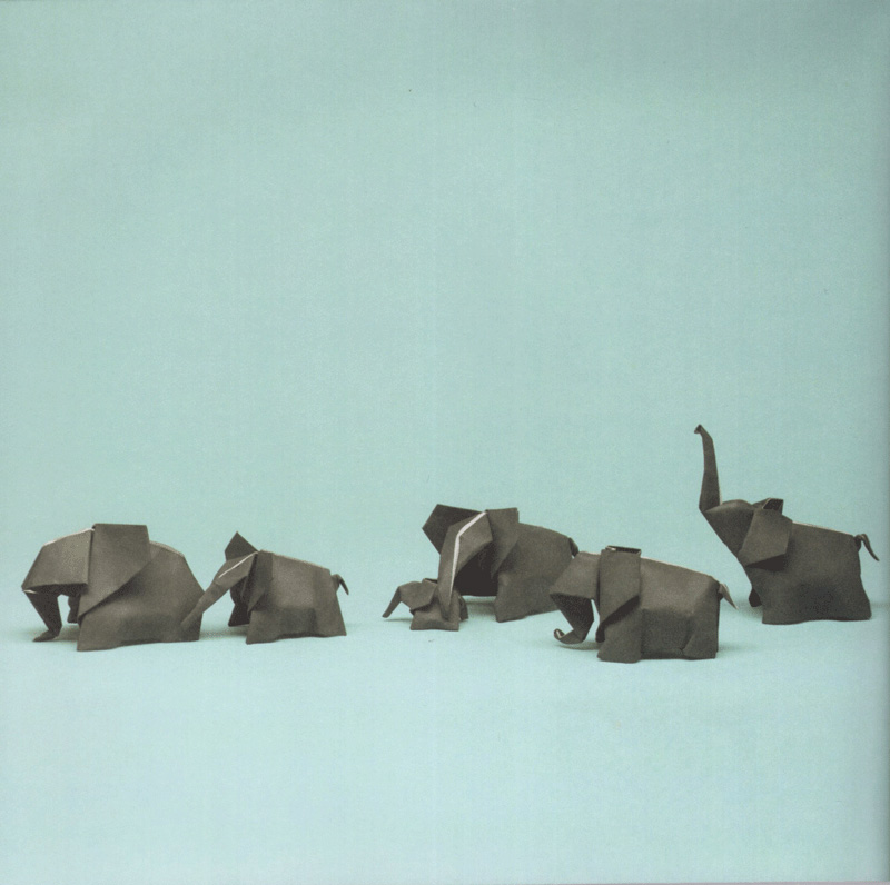 Sách "Origami Động Vật Trên Cạn"