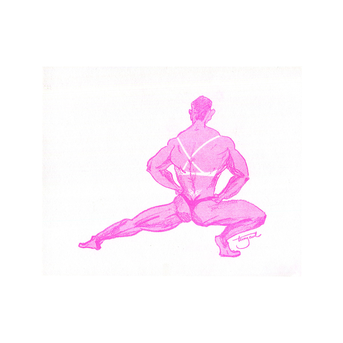 Zine Bưu thiếp "Muscle Butterflies"