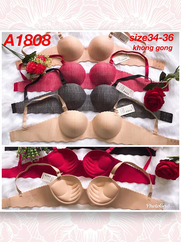 ÁO ĐÚC ĐỆM DÀY QUẢ NGANG #A1808