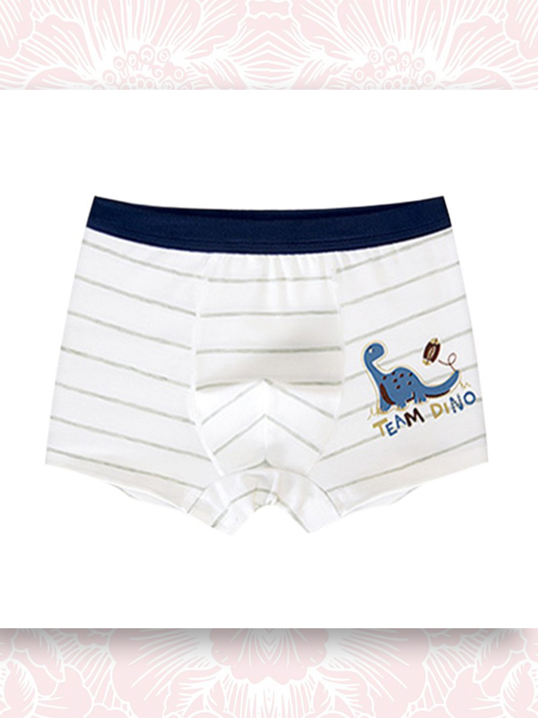 BỘ 4 QUẦN LÓT ĐÙI BÉ TRAI