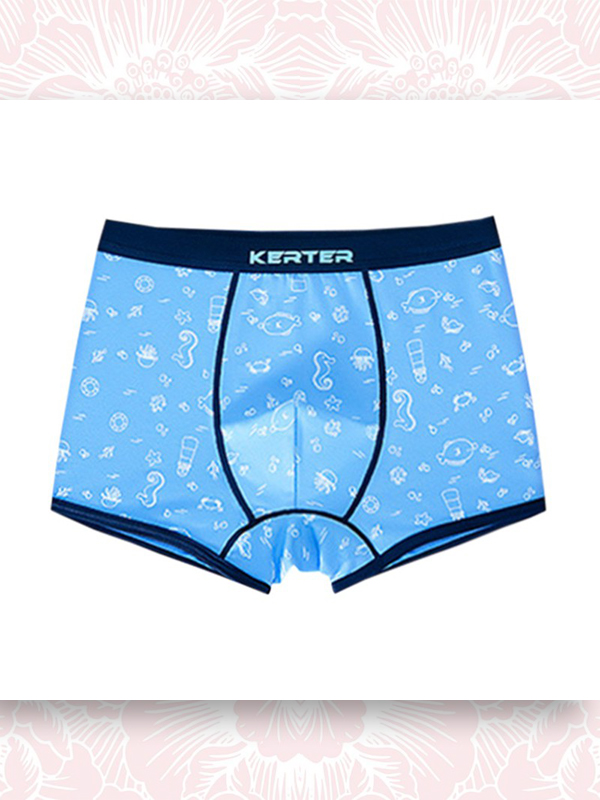 BỘ 4 QUẦN LÓT ĐÙI BÉ TRAI