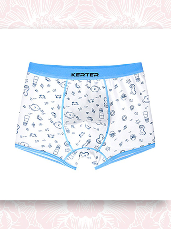 BỘ 4 QUẦN LÓT ĐÙI BÉ TRAI