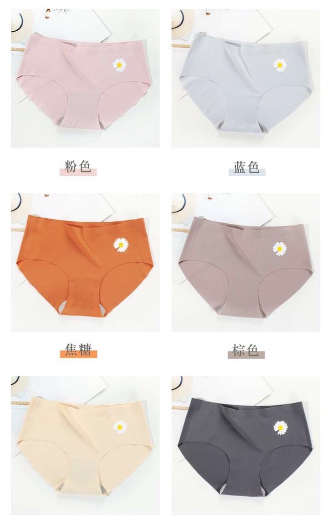 QUẦN SU ĐÚC HOA CÚC