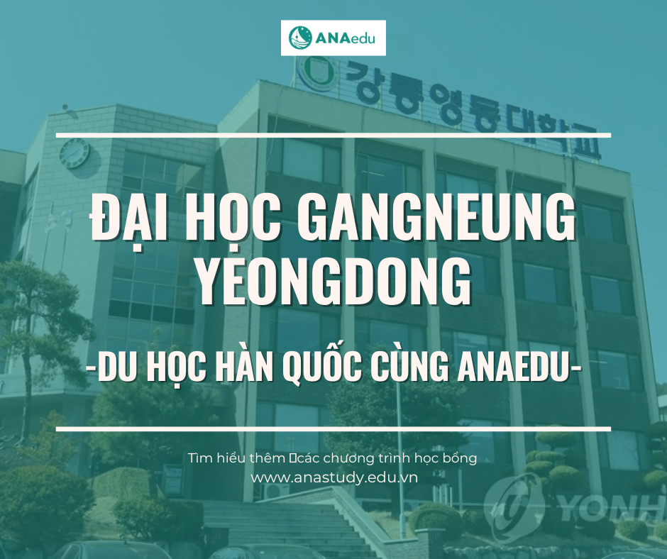 Đại học Gangneung Yeongdong – Ngôi trường mạnh đào tạo khối kỹ thuật Đại học Gangneung Yeongdong – Ngôi trường mạnh đào tạo khối kỹ thuật