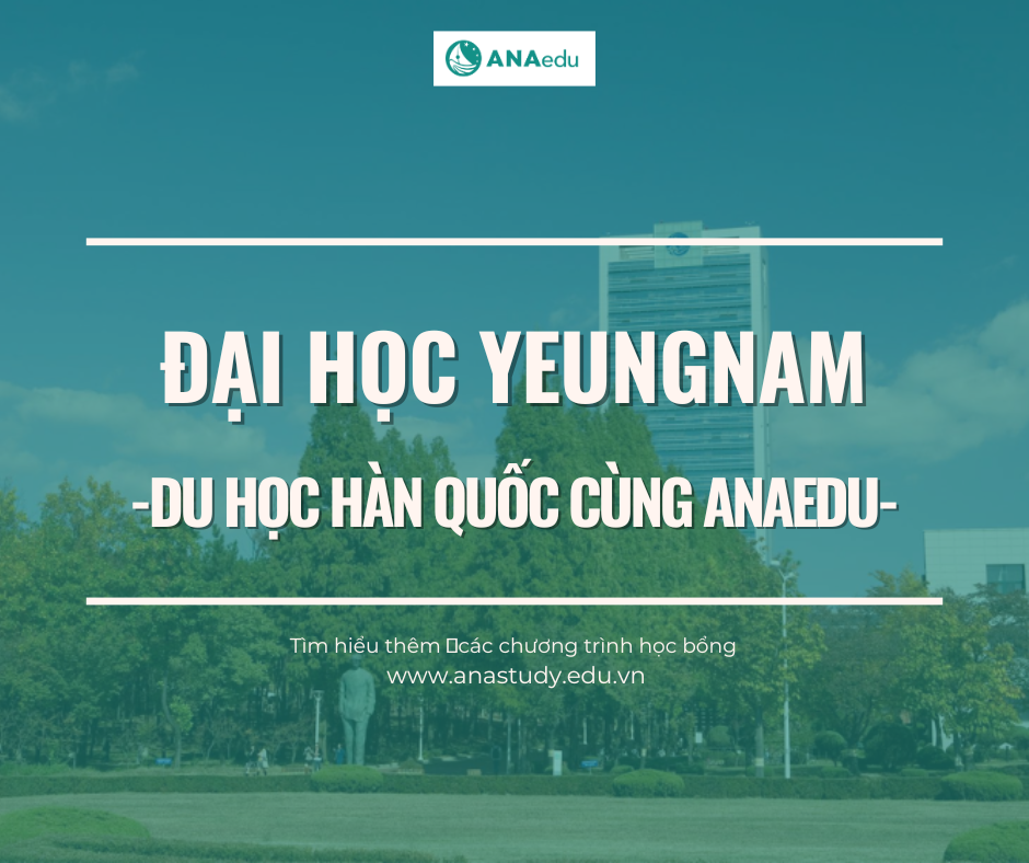 Trường đại học Yeungnam - TOP10 các Trường Đại học Quốc tế hàng đầu châu Á