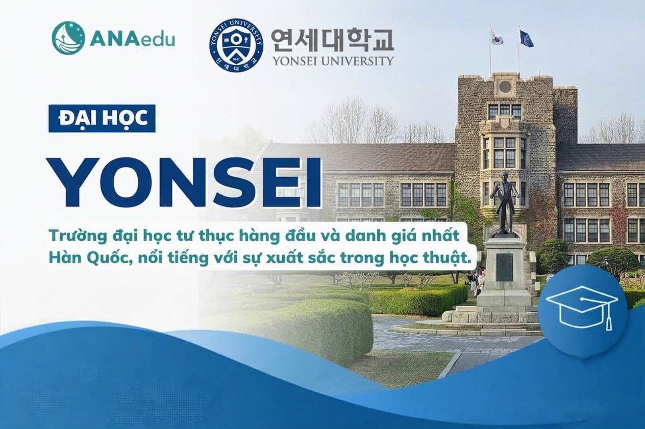 Đại học Yonsei - Trường Đại Học Top 1 Hoàng Gia SKY Tại Seoul