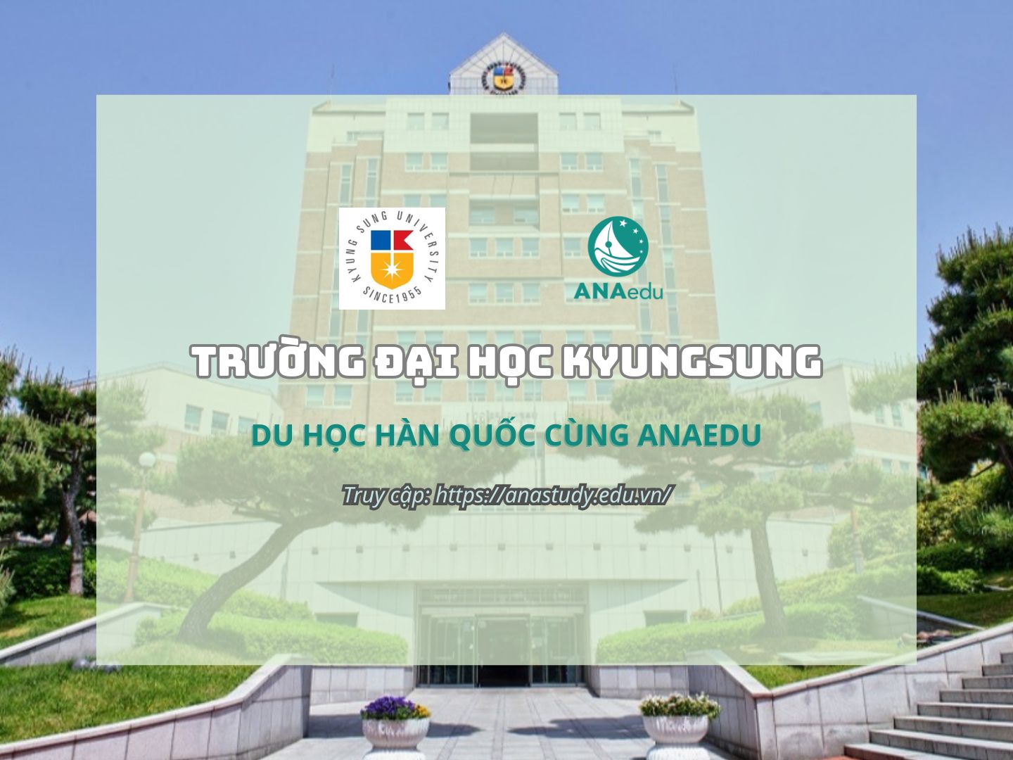 TRƯỜNG ĐẠI HỌC KYUNGSUNG