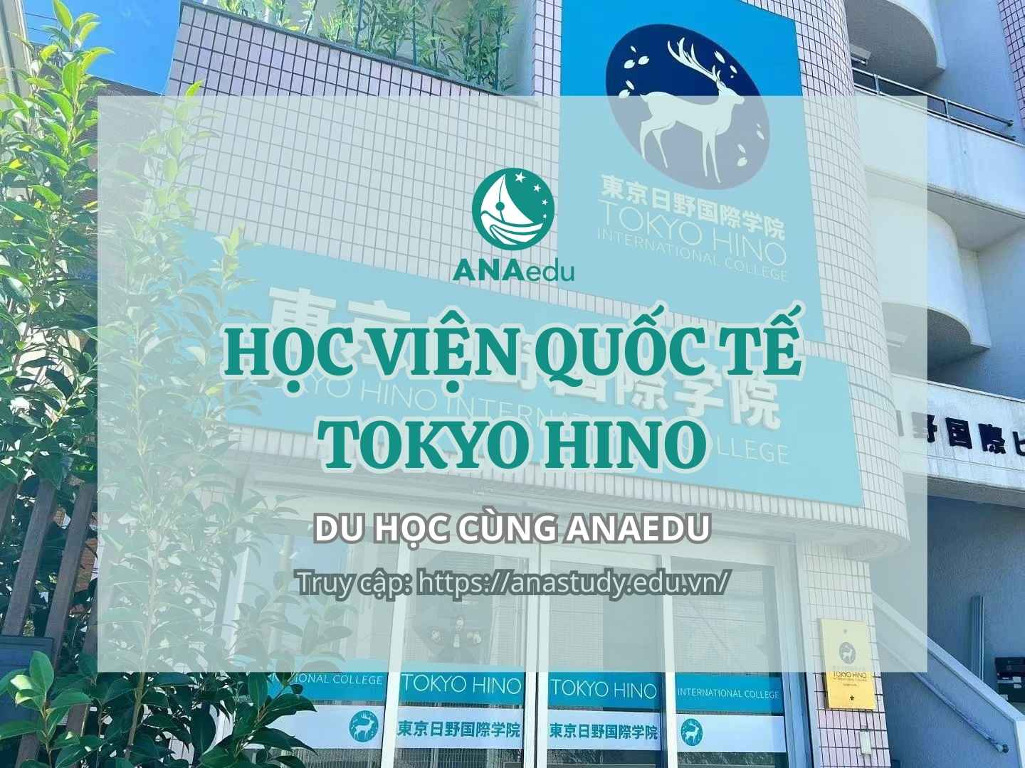 HỌC VIỆN QUỐC TẾ TOKYO HINO - THÔNG BÁO TUYỂN SINH KỲ THÁNG 7/2026