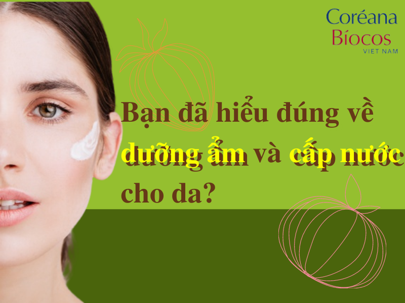 Cấp nước và dưỡng ẩm cho da khác nhau như thế nào?
