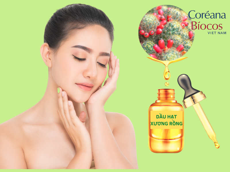 Tìm hiểu dầu hạt xương rồng - Người bạn lý tưởng của làn da