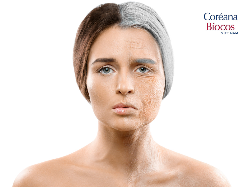 Quy trình chăm sóc da chống lão hóa sau độ tuổi 25