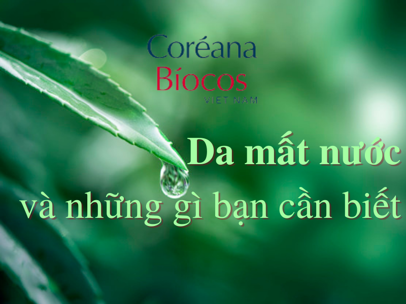 Tất cả những gì bạn cần biết về làn da mất nước