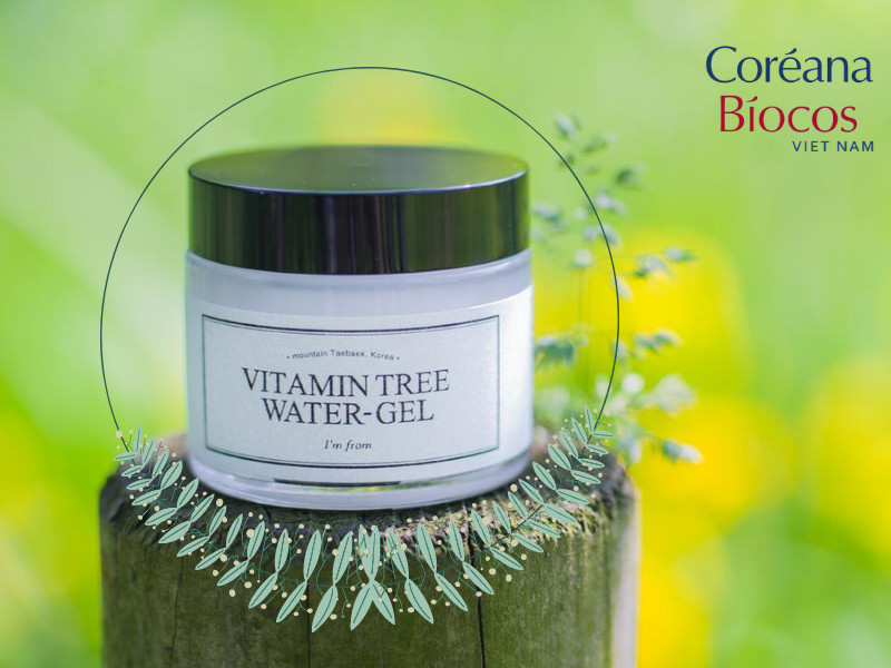 Niacinamide nổi tiếng với công dụng sáng da kiềm dầu có trong kem dưỡng Vitamin tree water gel