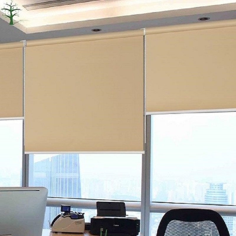 Rèm Cuốn Văn Phòng Đẹp RC0006