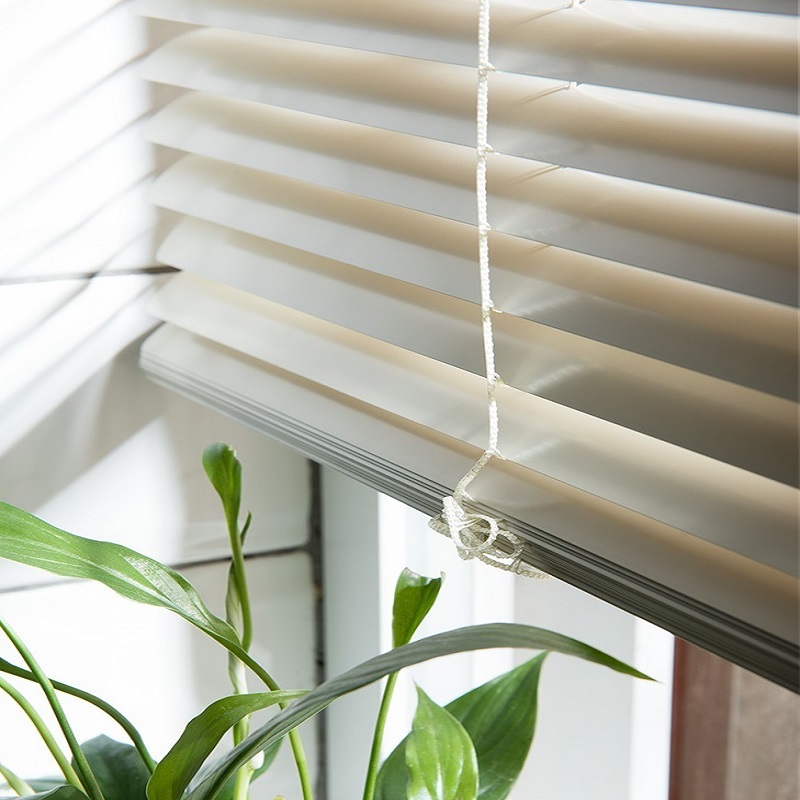 Các Mẫu Rèm Sáo Ngang Đẹp SN0008