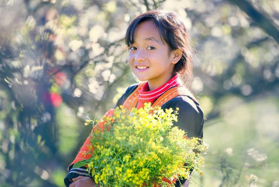 Việt Smile Travel - Hơn cả một chuyến đi