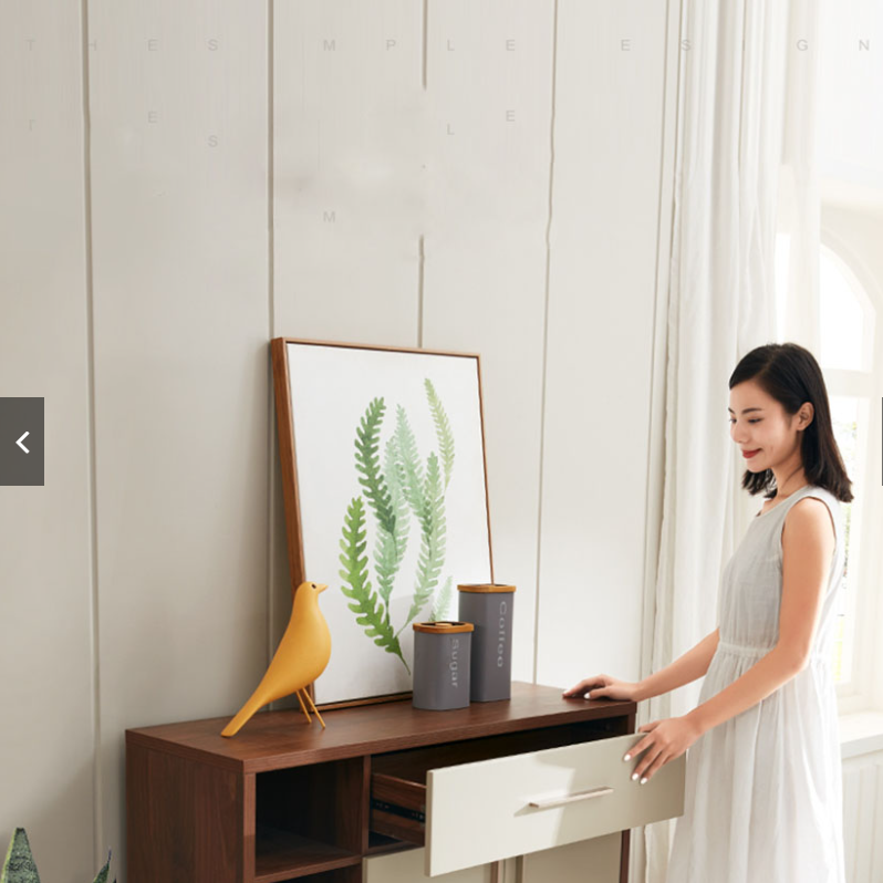 Tủ giày 2 cánh TY-TG505001