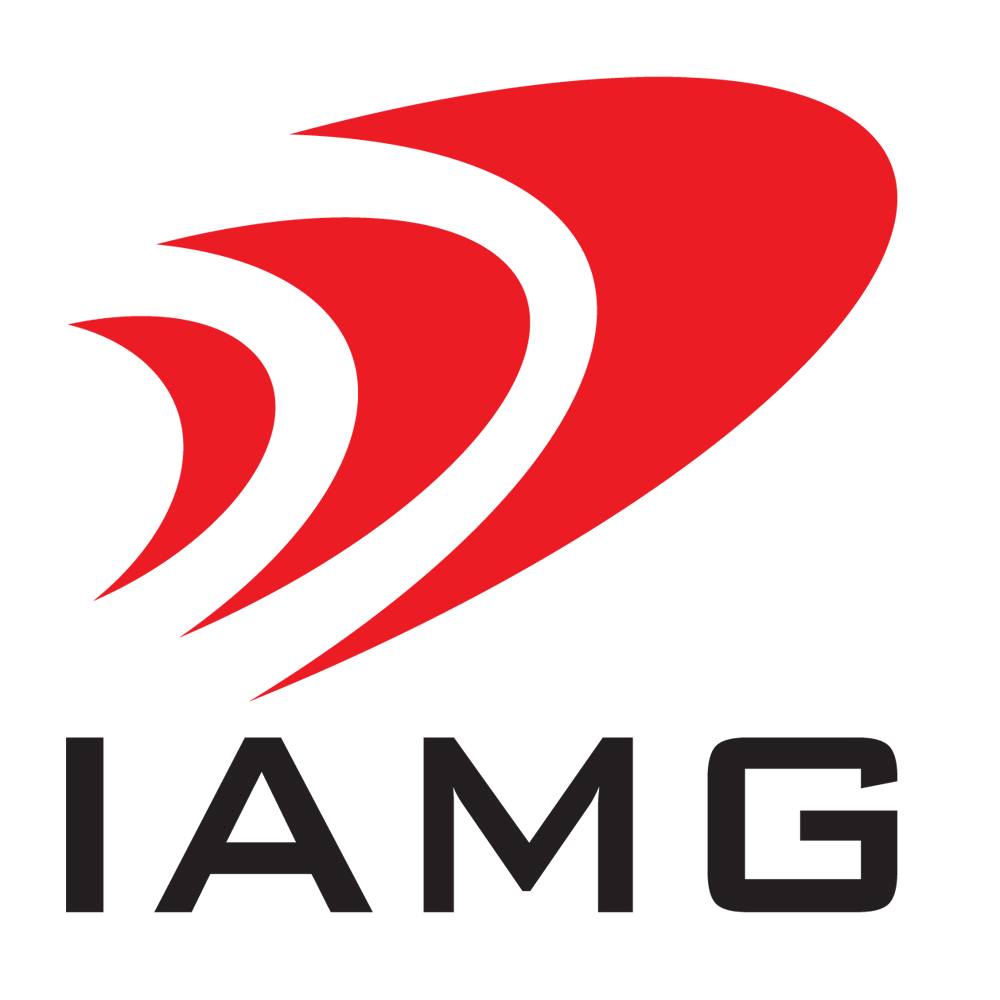 logo IAMG Việt Nam